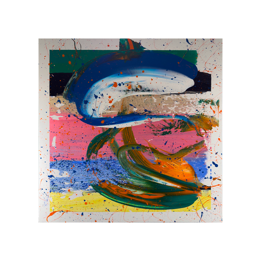 Acquario 2