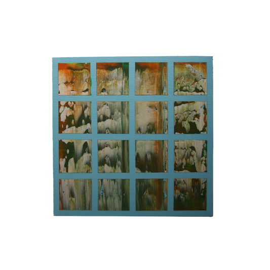 La natura in fotogrammi